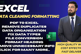 clean, organize and format your excel or CSV data