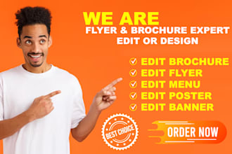 design and edit brochure, flyer within a day