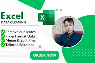 clean, format and organize microsoft excel spreadsheets