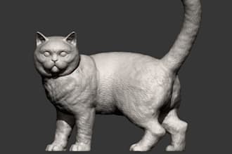 sculpt 3d british shorthair cat,3d pet statues,3d artwork sculpt,for 3d printing