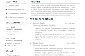 design a professional resume CV using canva