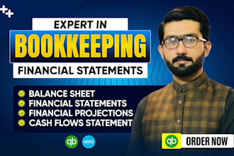 do bookkeeping, accounting, audit, finance and taxes
