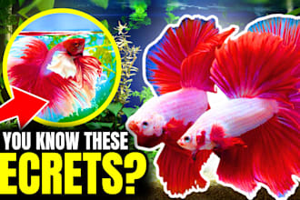 design fish thumbnail for you