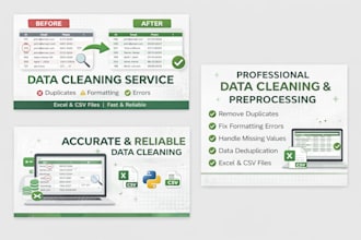clean, fix, and organize messy data in excel or CSV and data entry