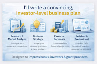 write a professional business plan for funding, grants or investors
