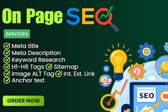 do professional on page SEO optimization