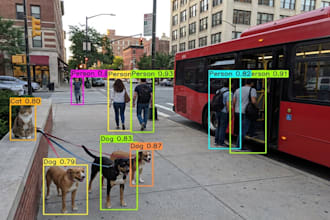 train custom yolo object detection models in python