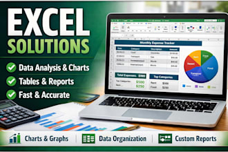 organize your data charts tables, and other excel solutions