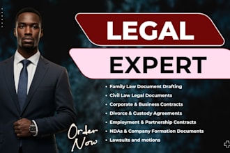 draft family, civil, and corporate legal documents