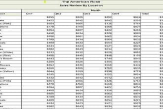 clean, format, sort, filter, merge, and split excel data