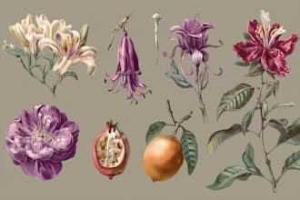 illustrate awesome botanical fruit, plant illustration