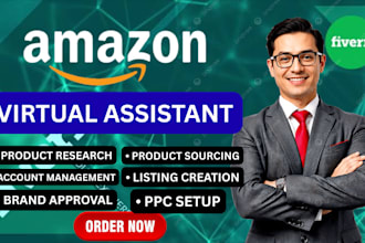 be professional amazon fba virtual assistant,  amazon VA