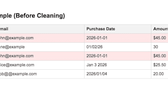 professionally clean and prepare your dataset for analysis