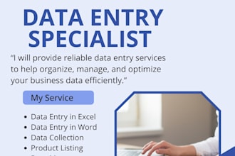 provide accurate and efficient data entry services