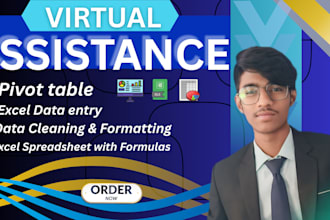 clean, format , data entry, pivot table, split excel data