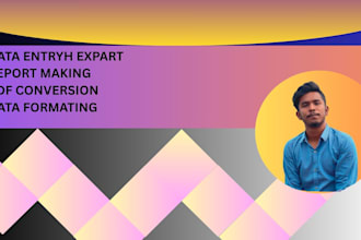 do professional data entry, web research work