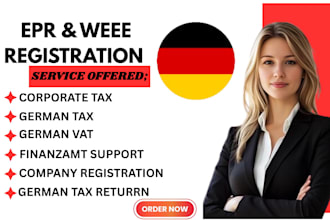 handle your german corporate tax return and annual report