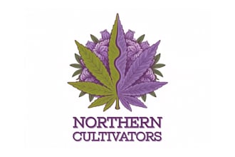 design custom cannabis marijuana 420 cbd logo