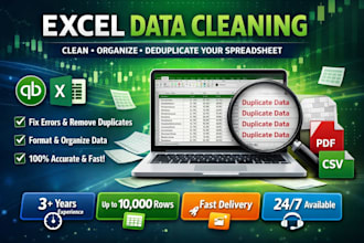 clean, format, and organize excel or CSV data professionally