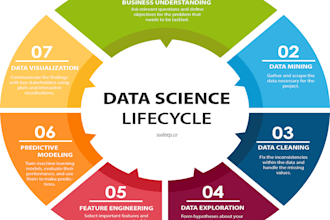 clean your data for analysis excel python r   sql expert