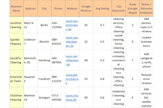 create accurate gbp or local SEO report in excel