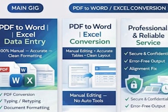 do PDF, data entry, typing service