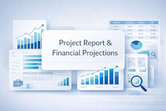 prepare a professional project report with financial projections