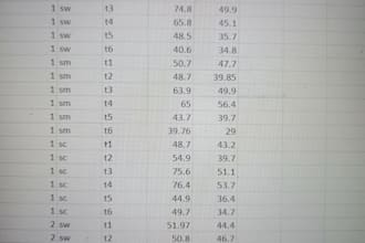 do accurate data entry
