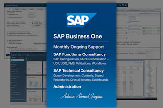 provide ongoing sap business one functional and technical support