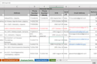 create professional excel sheets and spreadsheet templates