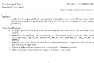 do dotnet based web applications development