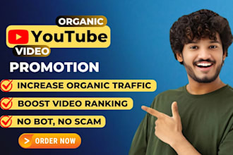 do youtube SEO expert grow organic views and subscribers