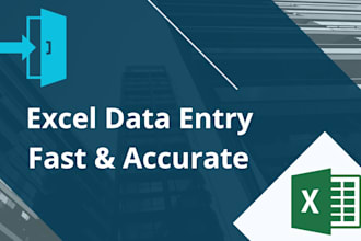 realizaré una entrada precisa de datos en excel