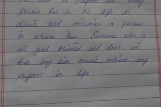 handwrite any type of document for you