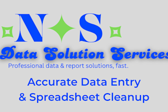 do accurate data entry, formatting, and cleanup in excel or google sheets