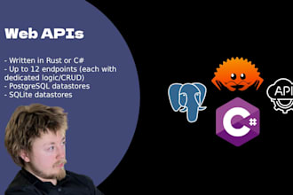 implement custom backend systems and microservices