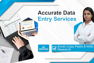 do accurate data entry copy paste and web search