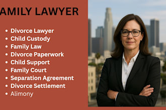 be your lawyer for child custody and divorce paperwork USA