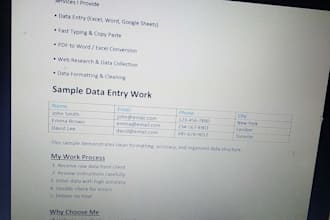 do high quality data entry with strong attention to detail and on time delivery
