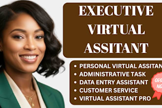 executive virtual assistant personal virtual assistant administrative VA for you