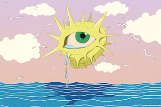 create llustration for covers, magazines, articles