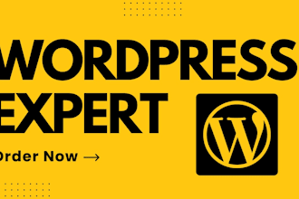 build professional wordpress website as an expert