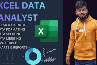 clean, format, merge, excel data analysis, pdf to excel