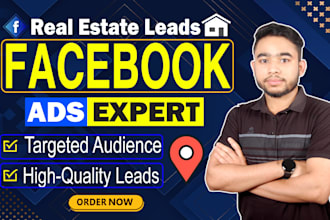 run facebook and instagram ads for real estate lead generation, fb marketing