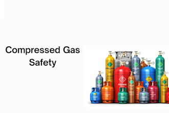 be your hse expert for rams, audits, procedures, and provide consultation