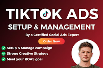 setup and manage your tiktok ads manager