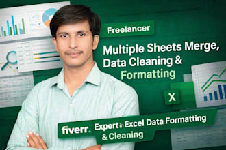 data cleanning , data formatting, merge multiple sheet
