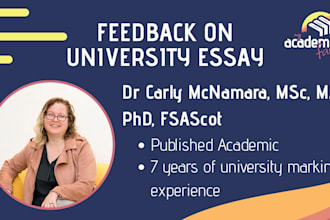 provide feedback on your university essay