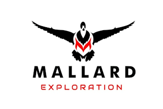 design particular premium oil gas startup logo