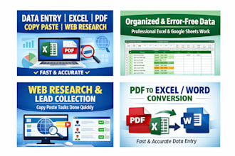 do accurate data entry, excel, PDF, copy paste, google sheets, and web research